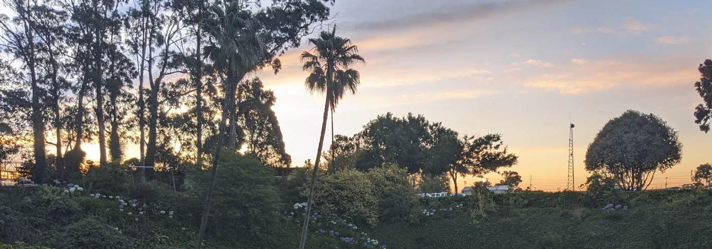 The sunken garden of Umpherston Sinkhole in Mount Gambier, ivy-covered limestone walls and palms glowing at sunset