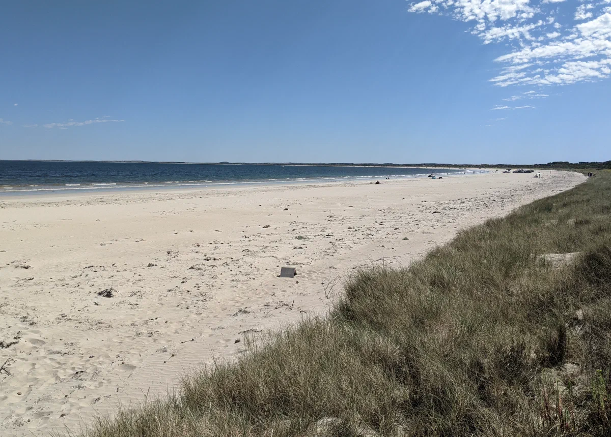 A wide sandy beach fringed with dune grass, stretching along the coast under a clear sky