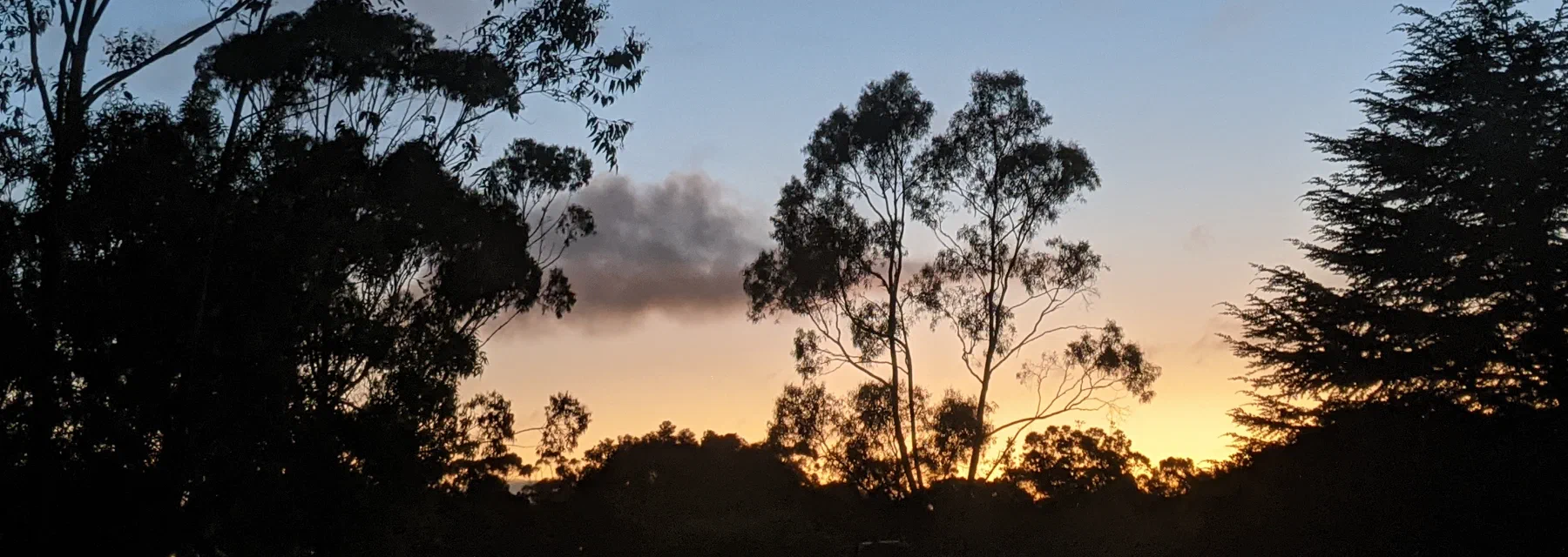 Crescent moon and Venus paired above a dusky treeline