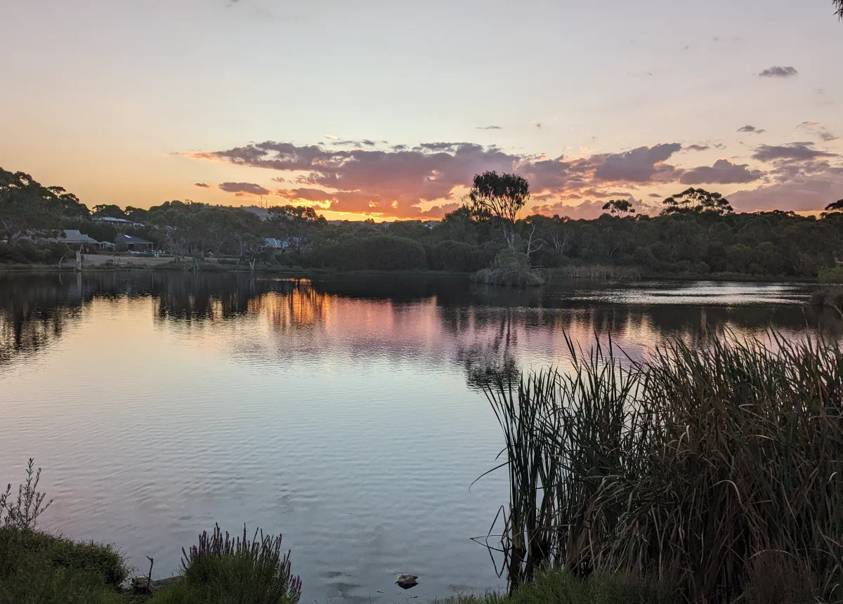 Sunset over a still lake fringed with reeds, houses among trees on the far bank