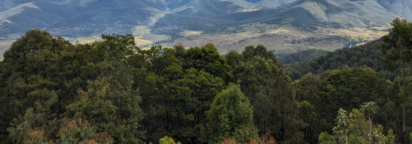 Layered mountain ridgelines under a bank of clouds, seen from a lookout