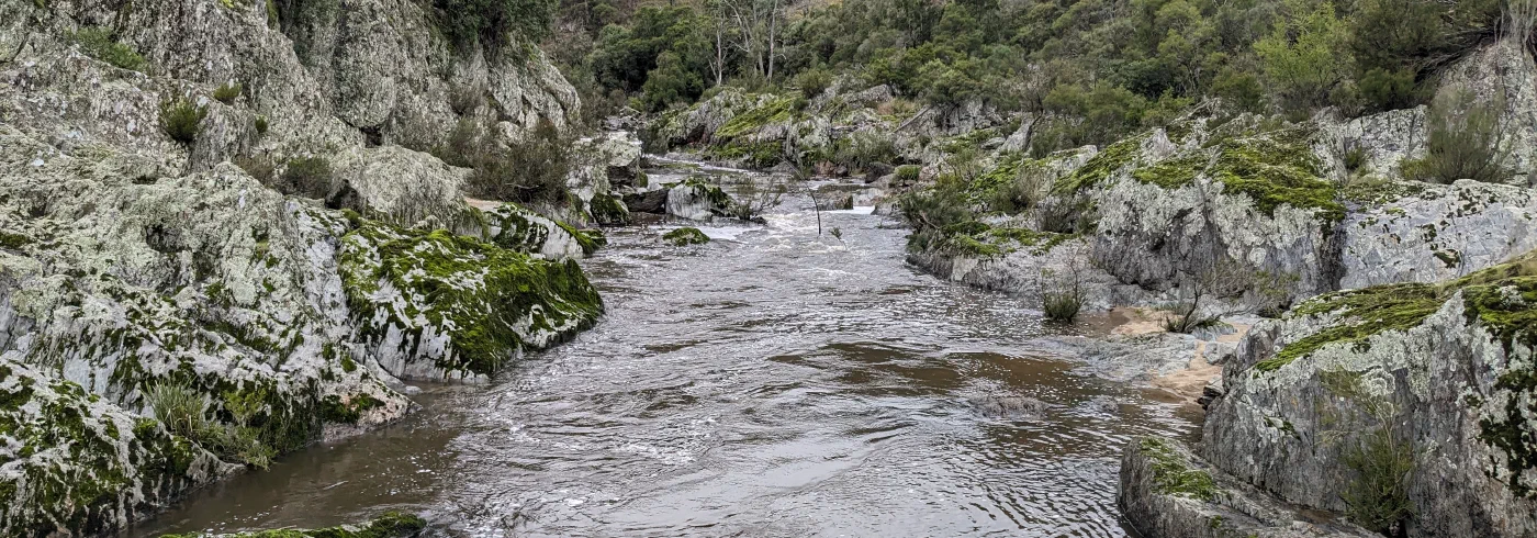 A river running between pale rock outcrops in a forested gorge